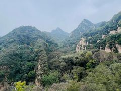 -大岭沟猕猴桃谷风景区