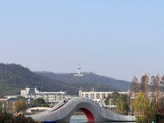 -后湖小院·乡野田园菜