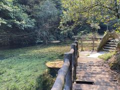 -午潮山国家森林公园
