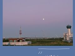 -南汇新城海滩