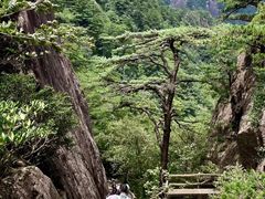 -黄山风景区