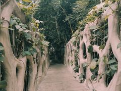 -南山植物园