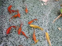 -江西大酒店