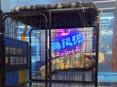 -谜盒子奇幻密室(南屏店)