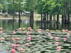 -白鹭湾湿地公园