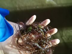 -北戴河东海水浴场