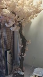 -至臻康妍健康管理中心
