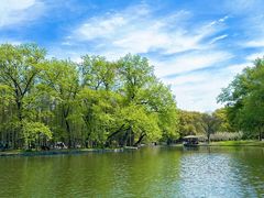 -上海共青森林公园