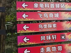 -广州长隆飞鸟乐园