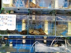 -香满居张记小厨私房菜(青岛站店)