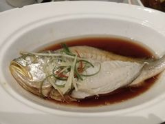 雪笋深海黄鱼-狮王府淮扬菜(新街口友谊店)