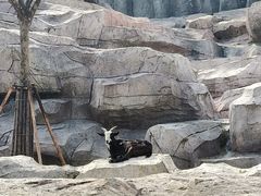 -武汉动物园