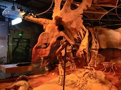 -正佳自然科学博物馆