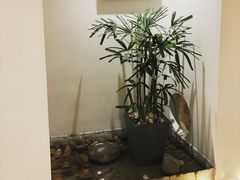 -素境采耳(管仲公园店)