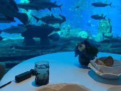 -OSSIANO奥西亚诺海底餐厅