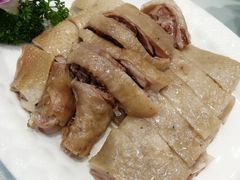 -鹅城
