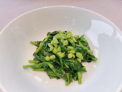 -子福慧(虹桥店)