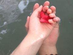 -山湖温泉