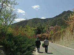 -北京鹫峰国家森林公园