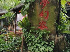 -呀诺达热带雨林