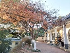 -西安市纺织公园