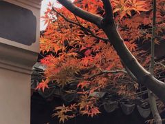 -芥子园