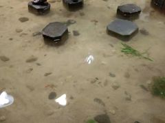-嘉兴海底世界