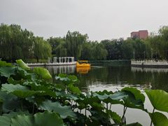 -丰台花园