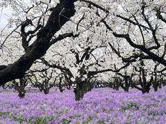 -江苏三台山国家森林公园