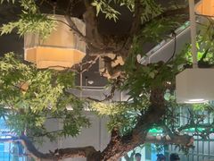 -绿茶餐厅(广州天河城店)