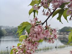 -新江湾城公园