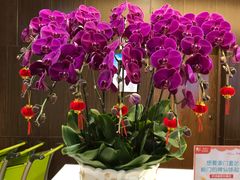 -白云机场易登机休息区