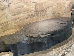 -白鹤梁水下博物馆