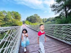 -铁山坪森林公园