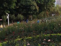 -人民公园(罗湖区)