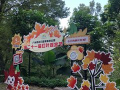 -广州市石门国家森林公园