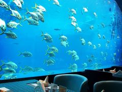 -瑞德姆美人鱼海底演艺主题餐厅(亚龙湾店)