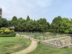 -厦门国家会计学院