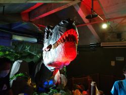 点击看大图 -恐龙探索乐园(磁器口店)