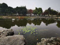-广西大学(大学东路校区)