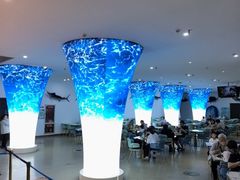-深海中餐厅(国家海洋博物馆店)