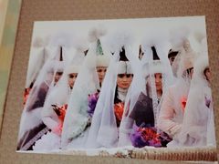 -葡萄集|滋味新疆菜·精酿酒馆(瑞豪酒店)