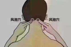 -香薇妮丝女子减肥院