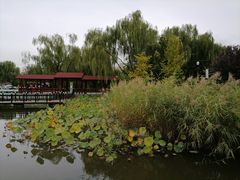 -古塔公园