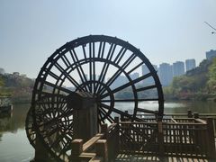 -重庆彩云湖湿地公园