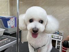 -美联众合动物医院·24h京西诊疗中心