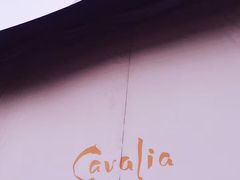 -cavalia·舞马
