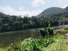 -广州市石门国家森林公园