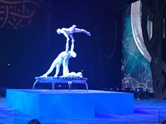 -珠海横琴长隆《卡卡虎奇遇记》