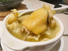 浓汤花胶鸡汤-维园悦谱·海派家常菜(乌鲁木齐南路店)
